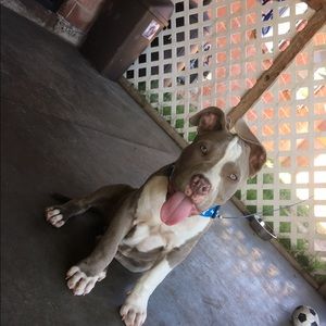 Meet your Posher, Yolanda